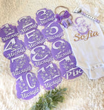 Acrylic Baby Monthly Milestone Rounds. Set of 12 months sign Baby milestones months. Newborn Photo Prop