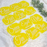 Acrylic Baby Monthly Milestone Rounds Set of 12 months sign Baby milestones months. Newborn Photo Prop