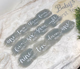 Acrylic Baby Monthly Milestone Rounds. Set of 12 months sign Baby milestones months. Newborn Photo Prop