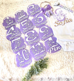 Acrylic Baby Monthly Milestone Rounds. Set of 12 months sign Baby milestones months. Newborn Photo Prop
