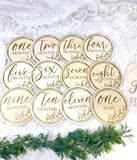 Wooden Baby Monthly Milestone Rounds. Set of 12 months sign with leaf design