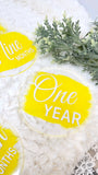 Acrylic Baby Monthly Milestone Rounds Set of 12 months sign Baby milestones months. Newborn Photo Prop