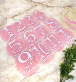 Acrylic Baby Monthly Milestone Rounds. Set of 12 months sign Baby milestones months. Newborn Photo Prop