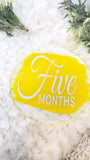 Acrylic Baby Monthly Milestone Rounds Set of 12 months sign Baby milestones months. Newborn Photo Prop
