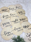 Wooden Baby Monthly Milestone Rounds. Set of 12 months sign